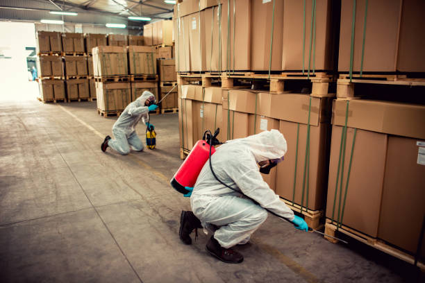Best Ant Control Services  in East Griffin, GA