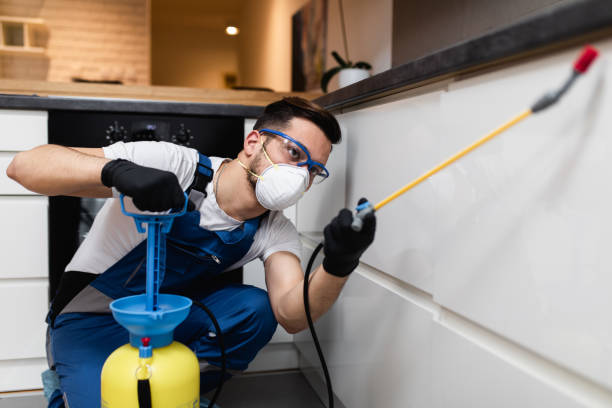Best Pest Prevention Services  in East Griffin, GA