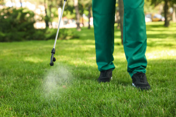 Best Flea Control Services  in East Griffin, GA