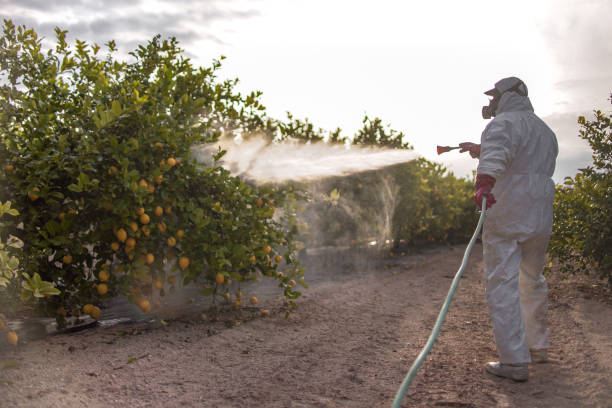 Best Best Pest Control Companies  in East Griffin, GA