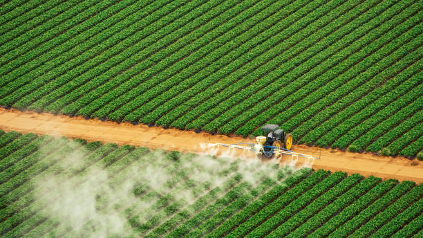 Best Mosquito Control Services  in East Griffin, GA