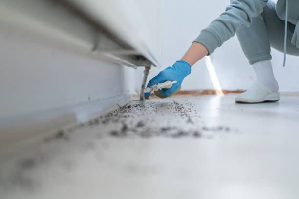 Best Emergency Pest Control  in East Griffin, GA