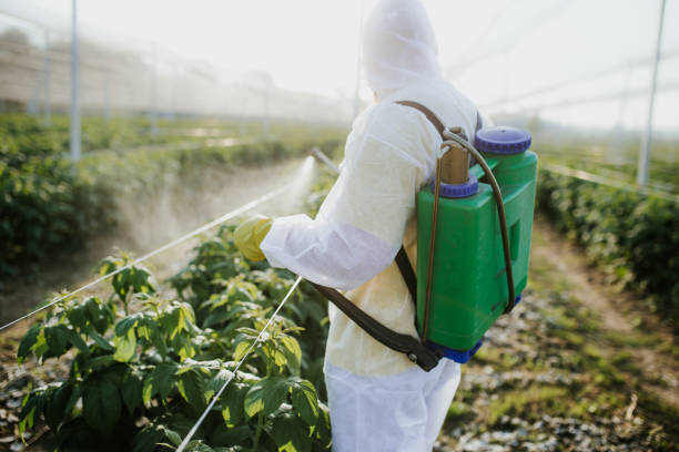  East Griffin, GA Pest Control Pros